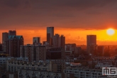 Te Koop | De zonsondergang in het stadscentrum van Rotterdam