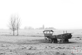 Schapen in de Polder van MS Fotografie bij VT Wonen weer Verliefd op je Huis