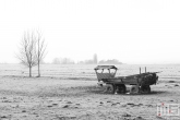 Schapen in de Polder van MS Fotografie bij VT Wonen weer Verliefd op je Huis