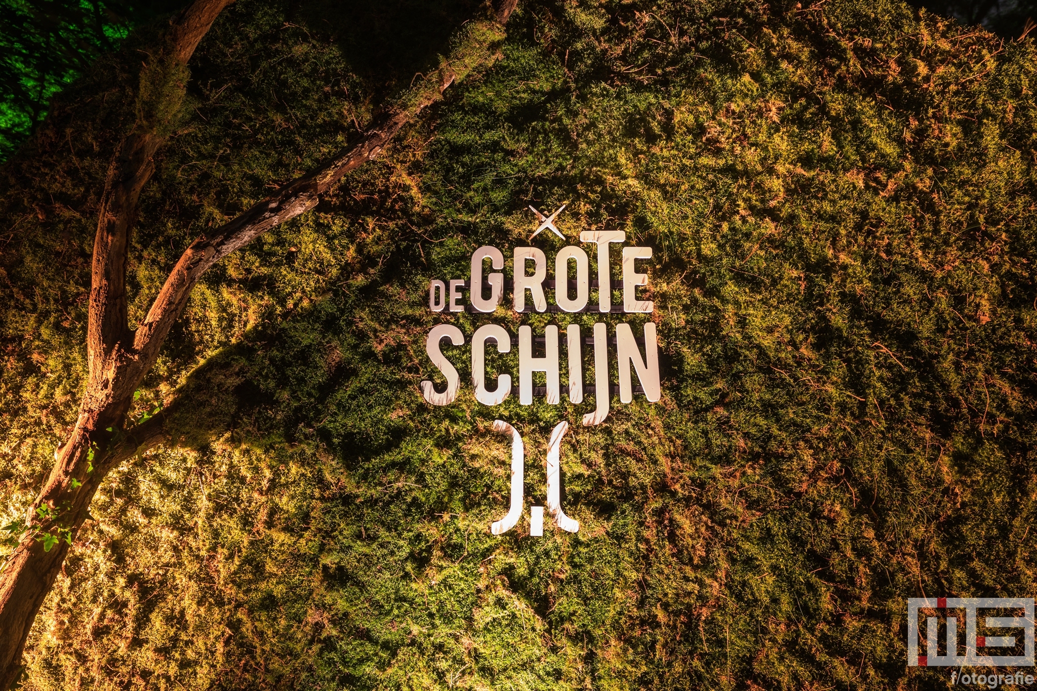 De Grote Schijn | Magie in het Kralingse Bos Rotterdam