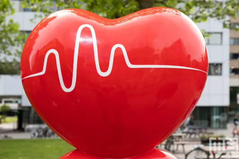 Heart Work Heroes in Rotterdam met  Pulse van Assadawut