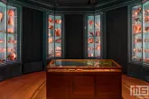 Herontdek de nacht in het Natuurhistorisch Museum tijdens Museumnacht 010 in Rotterdam