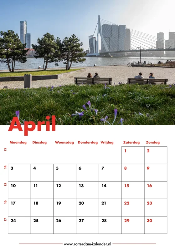 Te Koop – Het uitzicht vanuit het Leuvepark in Rotterdam op de Erasmusbrug Te Koop – Het uitzicht vanuit het Leuvepark in Rotterdam op de Erasmusbrug