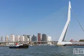 De Wereldhavendagen 2022 in Rotterdam sleepboot VB Tiger en de Erasmusbrug