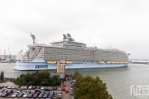 Het keren van het cruiseschip Oasis of the Seas in de Waalhaven in Rotterdam