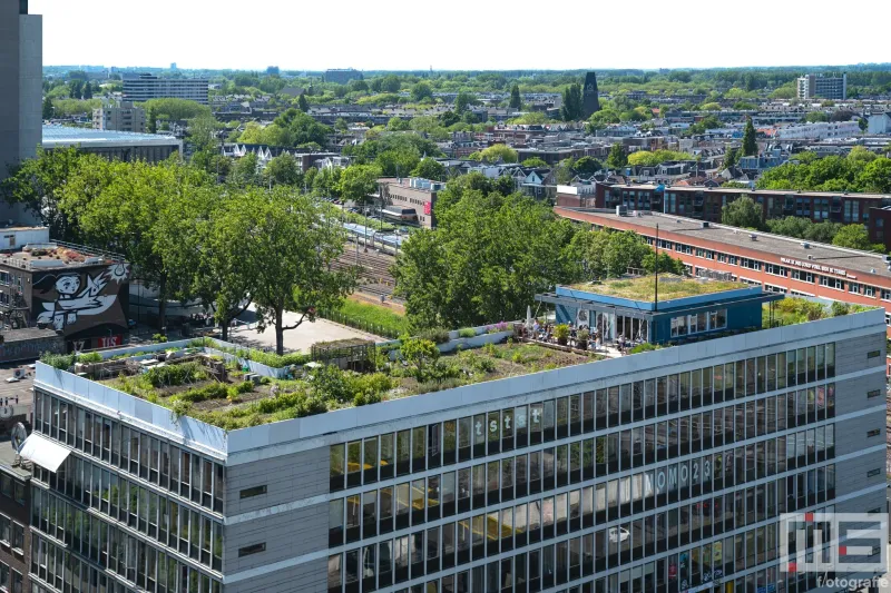 Een geweldig uitzicht op de Dakakker tijdens de Rotterdamse Dakendagen