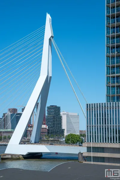 Het Rotterdamse Dakendagen uitzicht op de mooie Erasmusbrug in Rotterdam