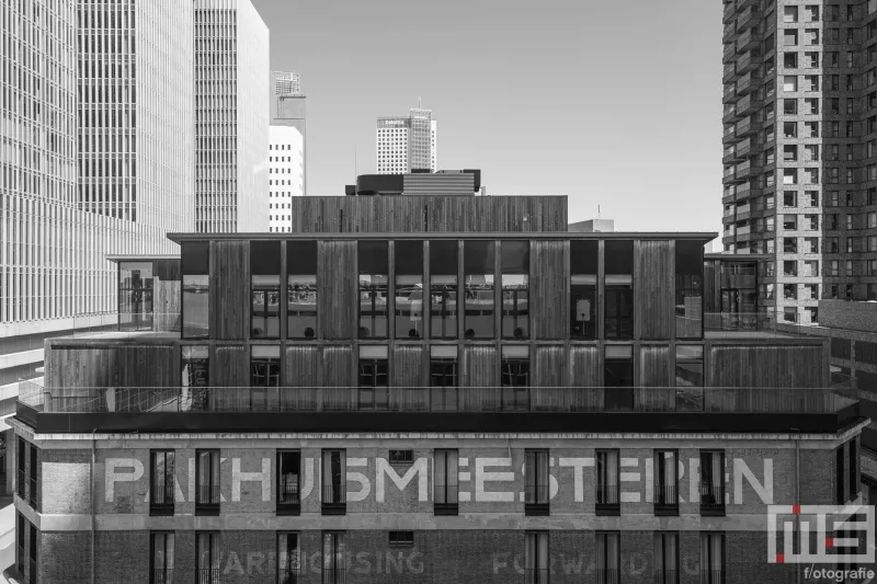 Het Rotterdamse Dakendagen uitzicht op de Pakhuismeesteren in Rotterdam