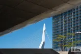 Te Koop | Een geweldig doorkijkje tijdens de Rotterdamse Dakendagen uitzicht op de Erasmusbrug
