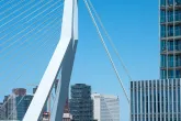 Het Rotterdamse Dakendagen uitzicht op de mooie Erasmusbrug in Rotterdam