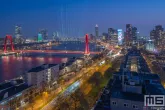 De fantastische lichtshow van de viering van 150 jaar Holland America Line in Rotterdam