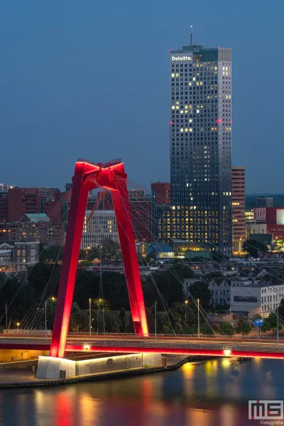 Te Koop | De skyline van Rotterdam met de Willemsbrug en de Maastoren