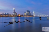 Te Koop | Het Maasbeeld / Wasknijper in Rotterdam by Night