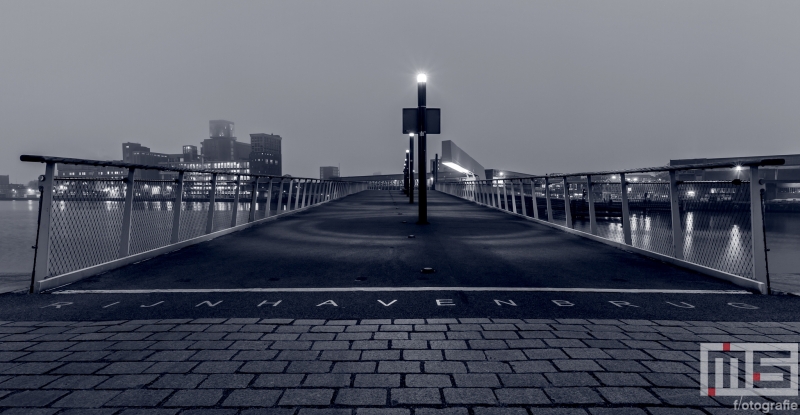 Te Koop | De Rijnhavenbrug in Rotterdam Katendrecht