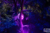 De paarse lichtshow van De Grote Schijn in het Kralingse Bos in Rotterdam
