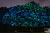 De lichtshow van De Grote Schijn in het Kralingse Bos in Rotterdam