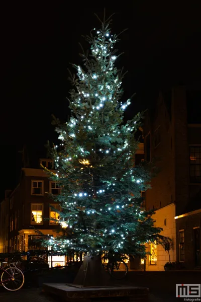 Dordtse Decemberdagen  met een schitterend verlichte kerstboom op het stadhuisplein
