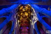 Een lichtprojectie op het plafond van de Laurenskerk tijdens Museumnacht010 2024
