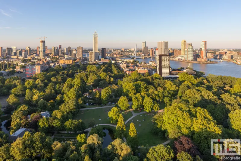 Te Koop | De Rotterdamse Dakendagen 2024 in Rotterdam met het Euromastpark vanuit de Euromast