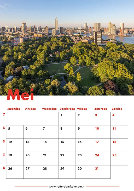 Te Koop | Het schitterende stadspark van Rotterdam tijdens de zonsondergang Te Koop | Het schitterende stadspark van Rotterdam tijdens de zonsondergang