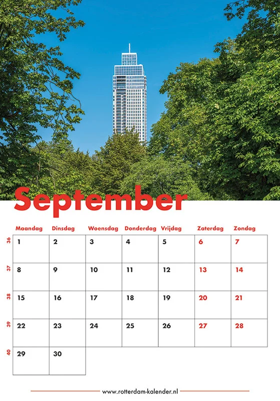 Te Koop | Een doorkijkje op de Zalmhaventoren vanuit Het Park in Rotterdam Te Koop | Een doorkijkje op de Zalmhaventoren vanuit Het Park in Rotterdam