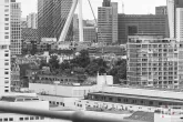 Het schitterende uitzicht op de Erasmusbrug tijdens Open Monumentendagen 2024