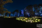 De lichtcirkel tijdens De Grote Schijn 2024 in het Kralingse Bos in Rotterdam