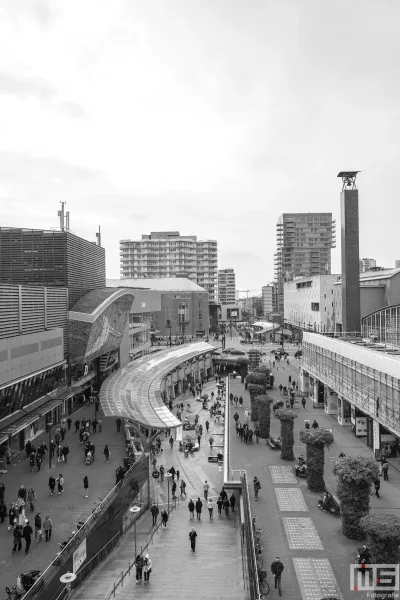 Het uitzicht vanuit Object Rotterdam 2025 in Rotterdam op de Koopgoot