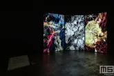De videoinstallatie No Words for Nature van Geert Mul tijdens Art Rotterdam in Ahoy Rotterdam