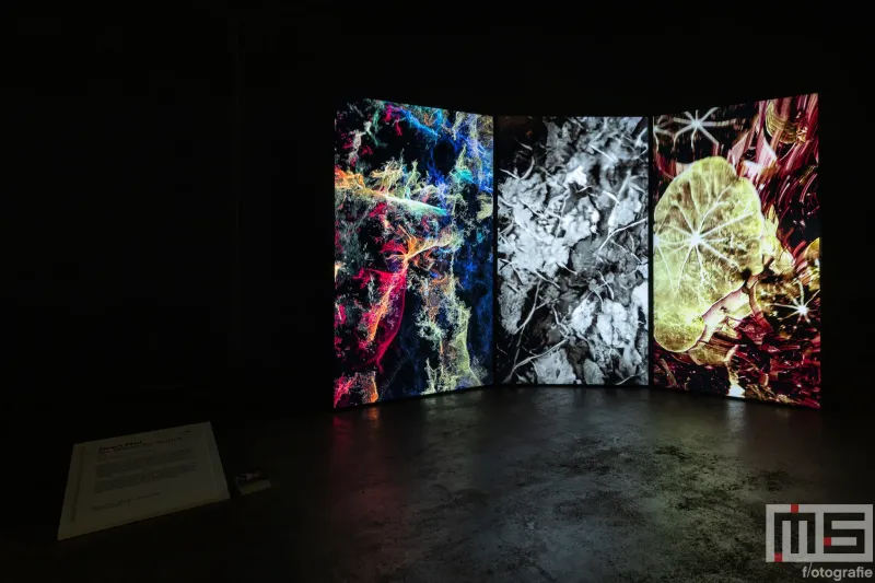 De videoinstallatie No Words for Nature van Geert Mul tijdens Art Rotterdam in Ahoy Rotterdam