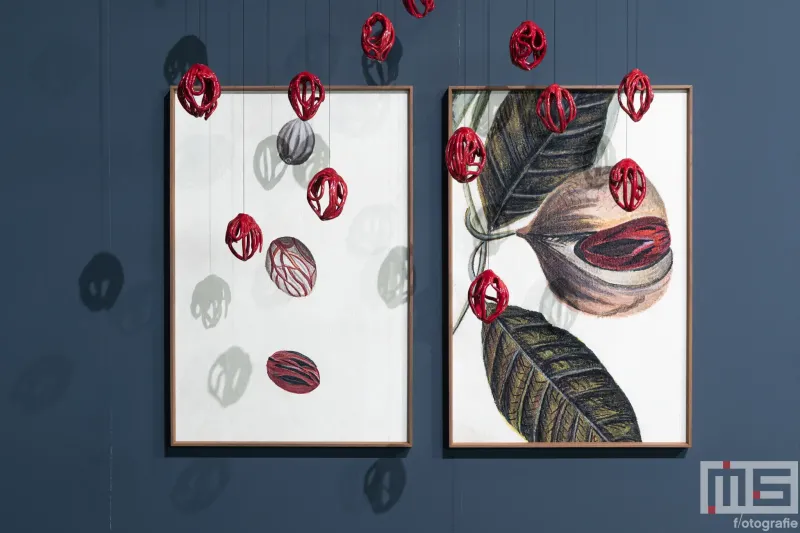 Het kunstwerk van Yara Jimmink tijdens Art Rotterdam 2026 in Ahoy Rotterdam