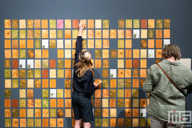 Kaartenkunst op Prospects op de kunstbeurs Art Rotterdam 2025 in de Ahoy Rotterdam