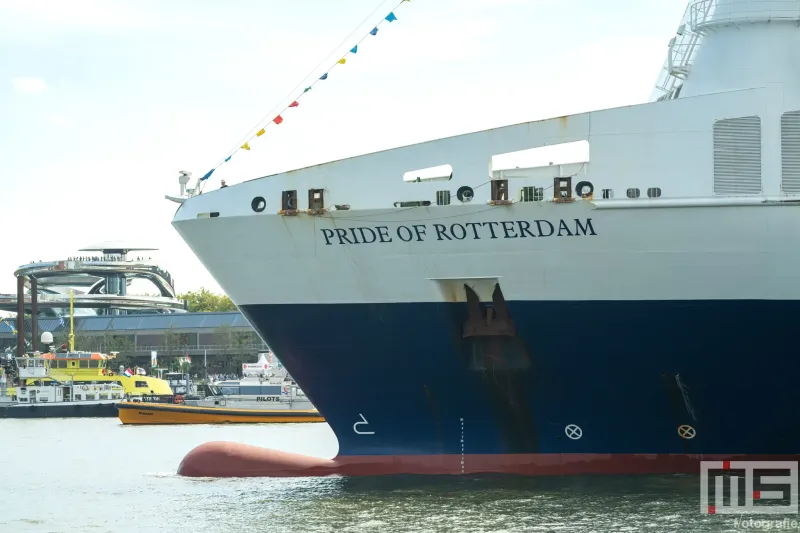Het cruiseschip Pride of Rotterdam van P&O Ferries tijdens de Wereldhavendagen Rotterdam 2025