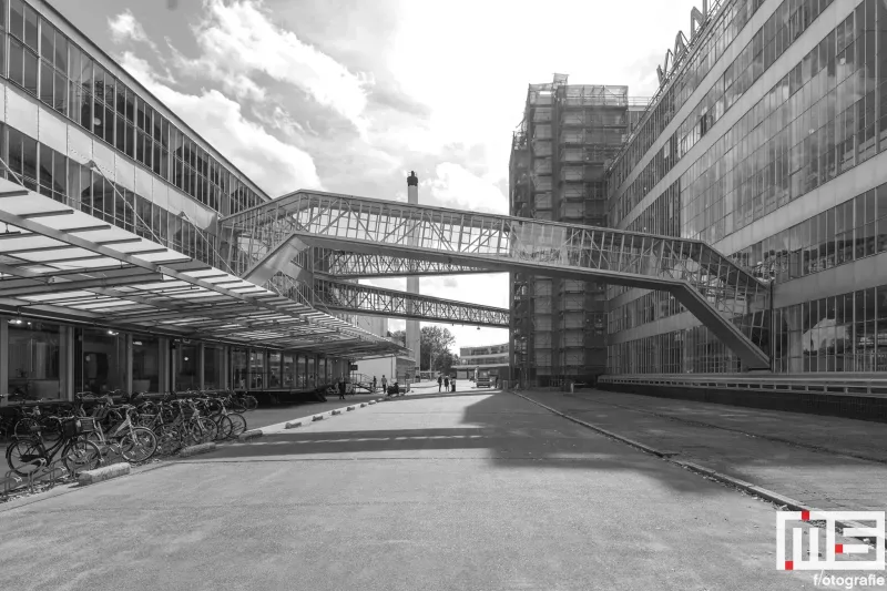 Het buitenterein van de Van Nelle Fabriek tijdens de Open Monumentendag in Rotterdam