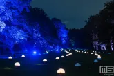 De Grote Schijn 2025 in het Kralingse Bos in Rotterdam