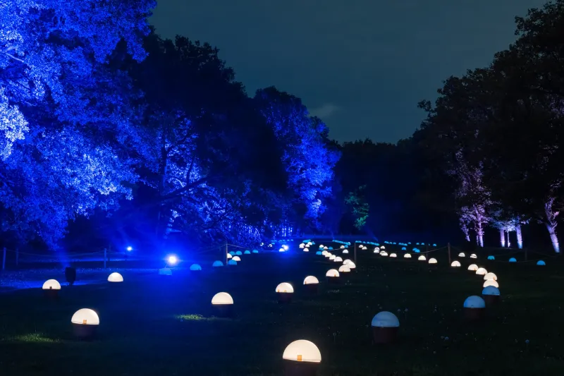 De Grote Schijn 2025 in het Kralingse Bos in Rotterdam