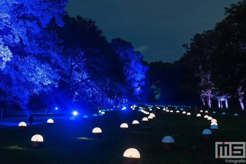 De Grote Schijn 2025 in het Kralingse Bos in Rotterdam