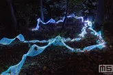 De Grote Schijn 2025 in het Kralingse Bos in Rotterdam