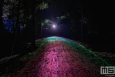 De Grote Schijn 2025 in het Kralingse Bos in Rotterdam