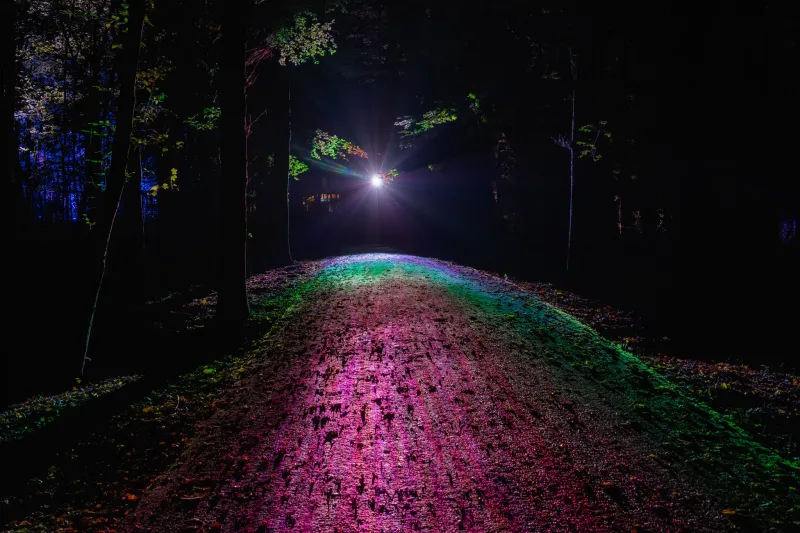 De Grote Schijn 2025 in het Kralingse Bos in Rotterdam