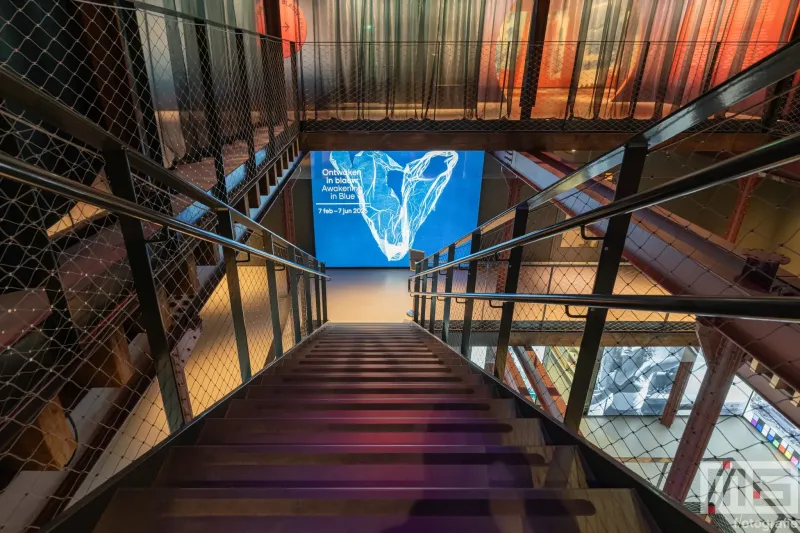 Nederlands Fotomuseum heropent in verbouwd Santos-pakhuis met kunstserie van Pai Dekkers genaamd Ontwaken in Blauw