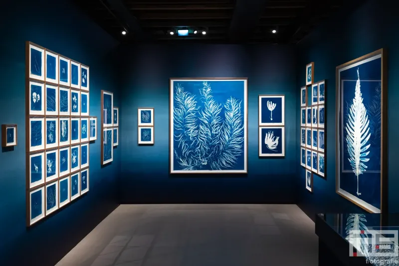 Nederlands Fotomuseum heropent in verbouwd Santos-pakhuis met kunstserie van Pai Dekkers