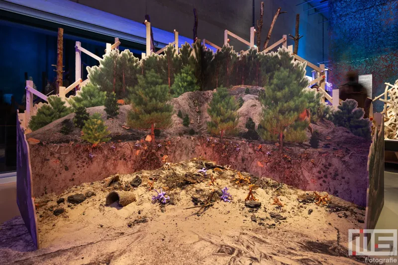 Het Nieuwe Instituut met Fungi Magic Forest tijdens Museumnacht010 Rotterdam 2026 in Rotterdam