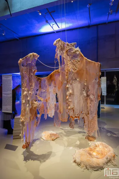 Het Nieuwe Instituut met Fungi Magic Forest tijdens Museumnacht010 Rotterdam in Rotterdam