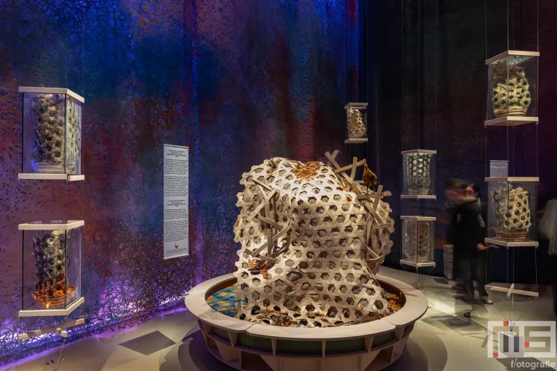 Het Nieuwe Instituut met Fungi Magic Forest tijdens Museumnacht010 in Rotterdam