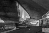 Te Koop | De Erasmusbrug in Rotterdam by Night als rauwe architectuur