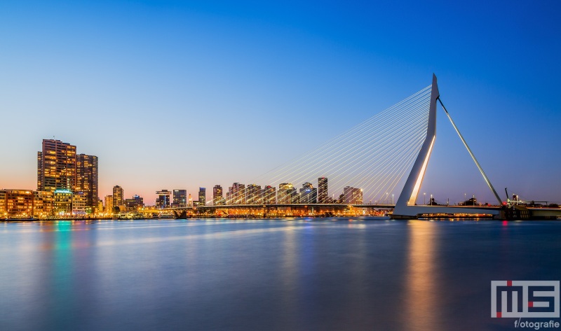 Te Koop | De Erasmusbrug in Rotterdam by Night