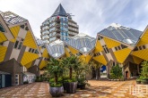 De Kubuswoningen met het Potlood in Rotterdam by Day