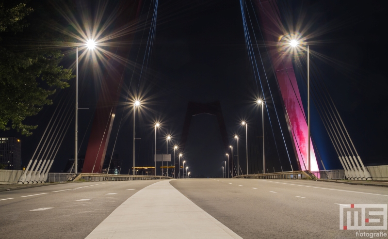 De twee pylonen van de Willemsbrug in Rotterdam by night
