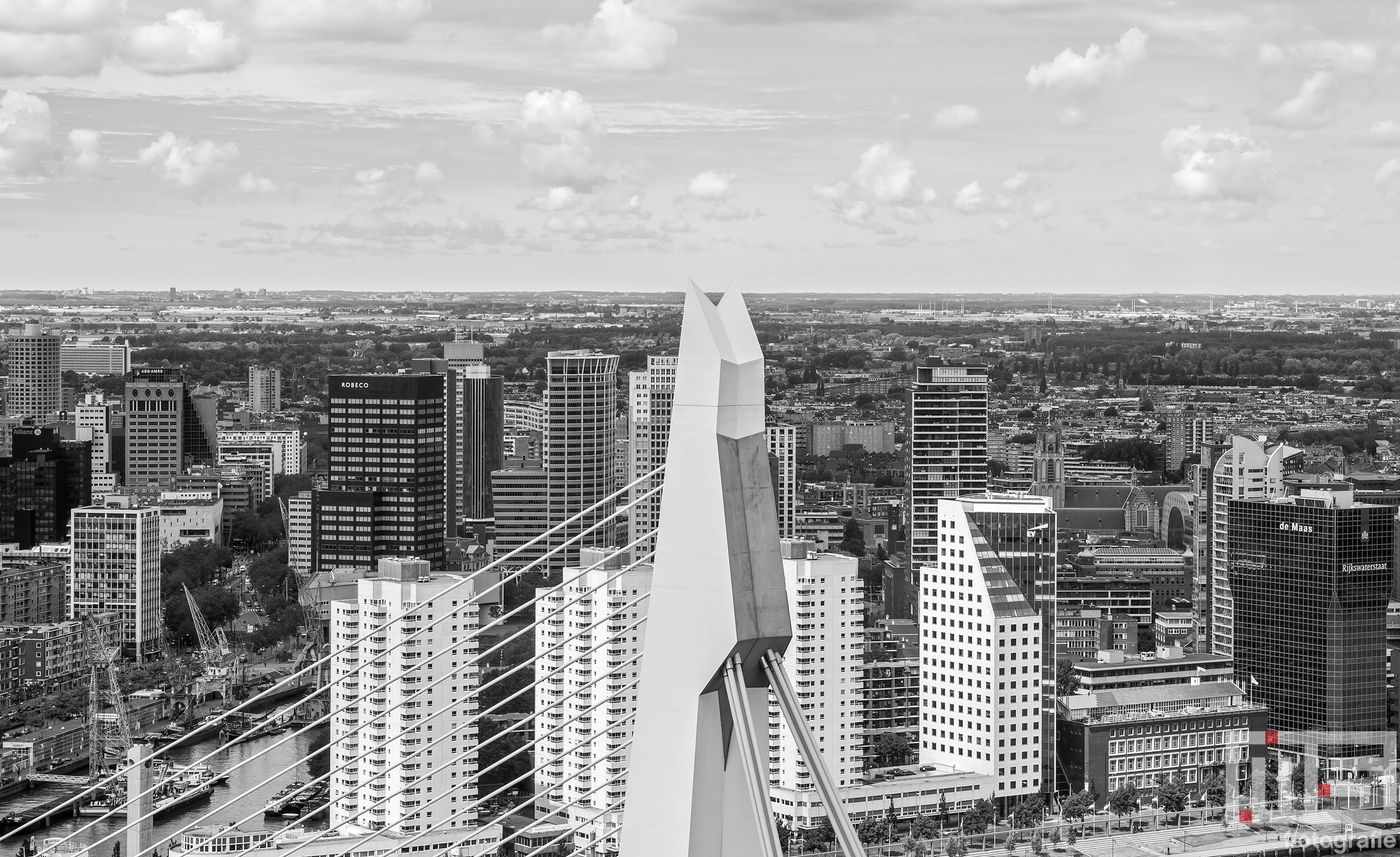 De pyloon van de Erasmusbrug in Rotterdam met op de achtergrond het stadscentrum